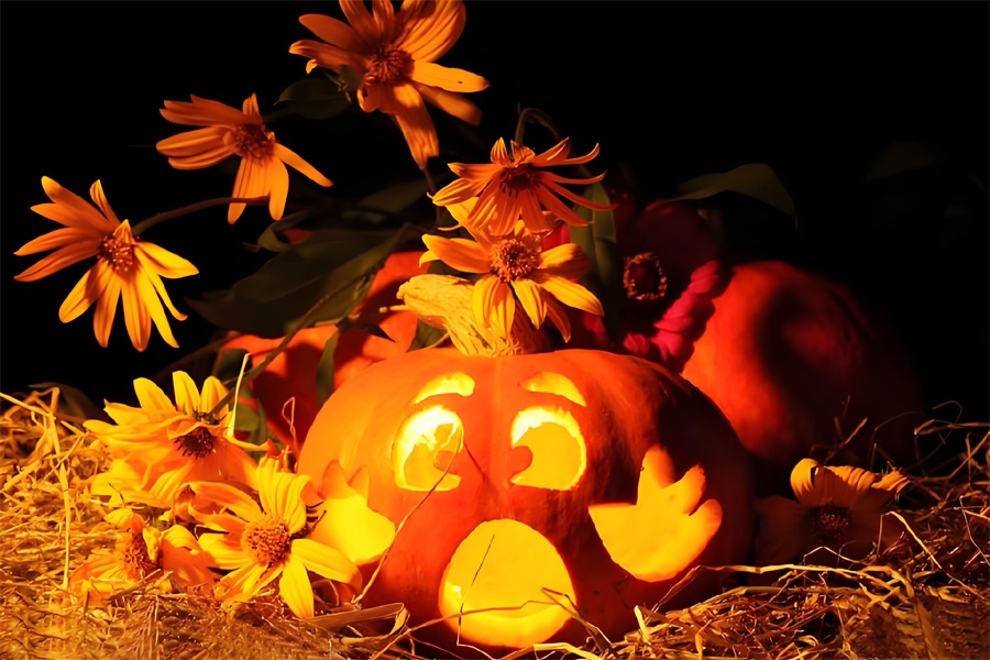 t恤定制萬圣節(jié)元素